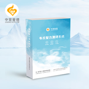 韦氏智力测评系统